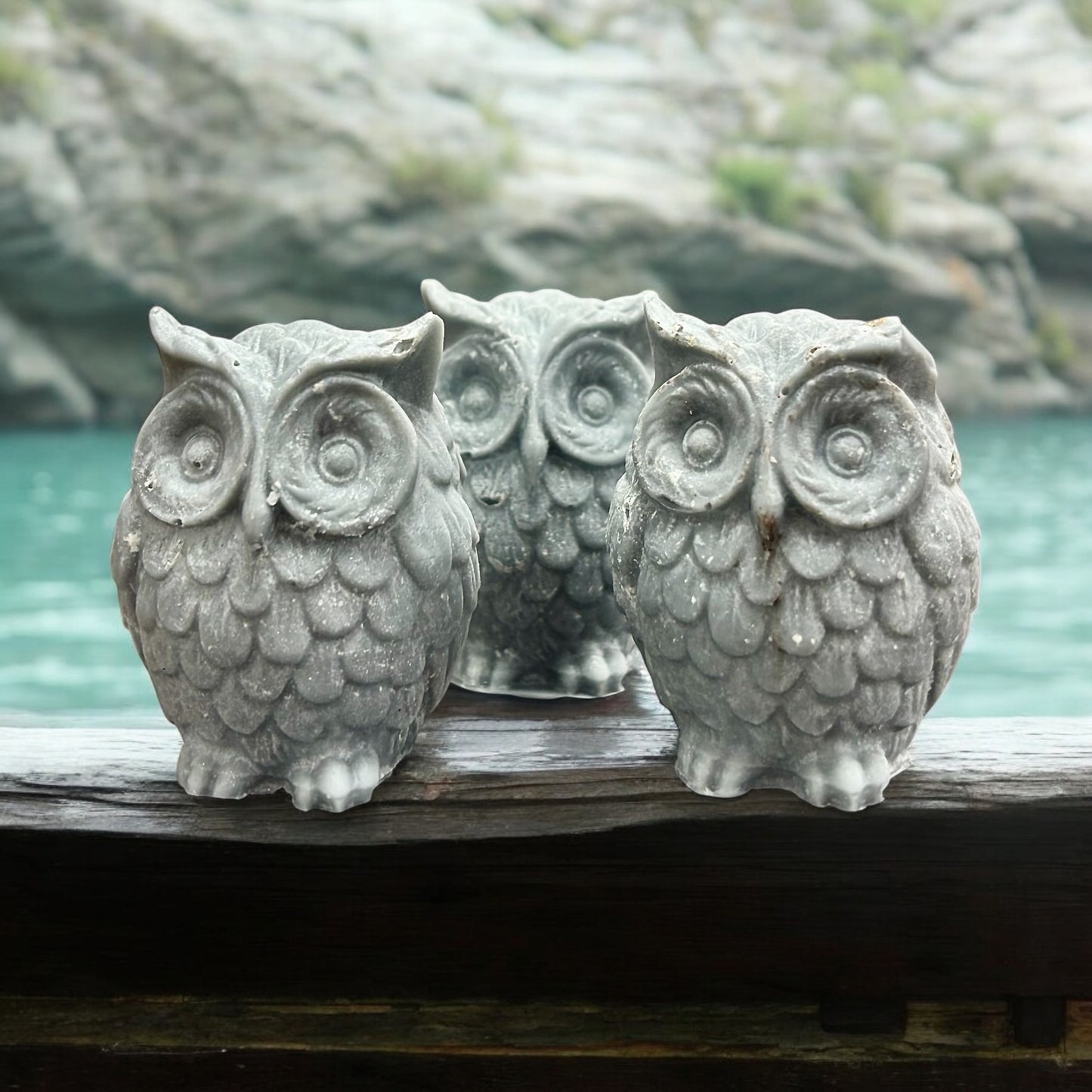 Owl Wax Melts - Woodland Blend (4 Pack)