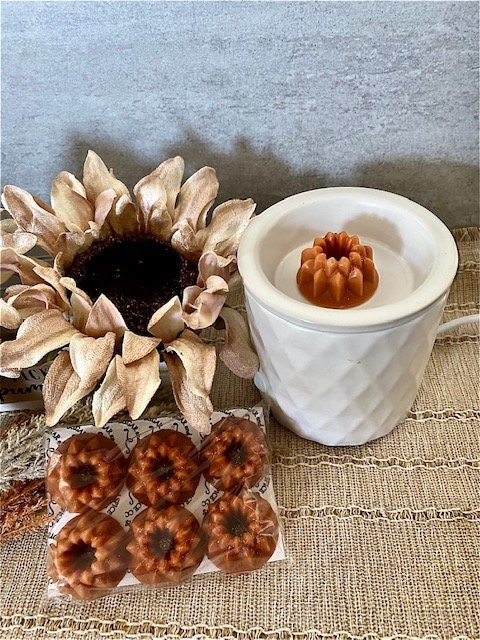 Pumpkin Spice Cake Wax Melts / Pumpkin Caramel Swirl