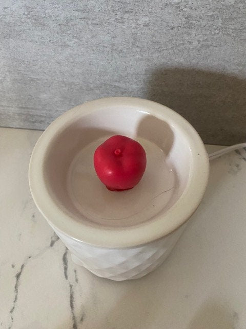 MacIntosh Apple Wax Melts