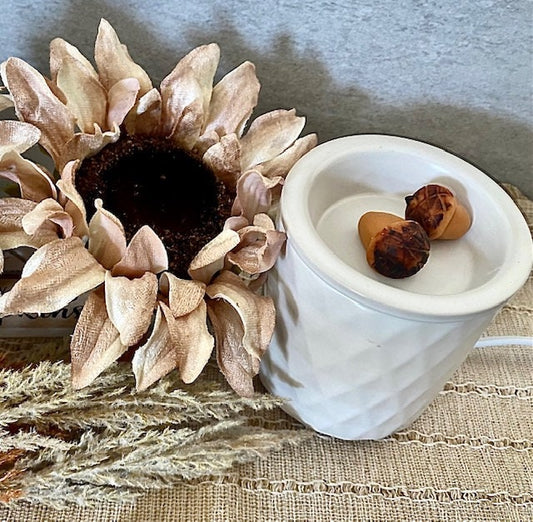 Autumn Acorn Wax Melts