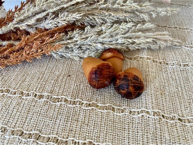 Autumn Acorn Wax Melts