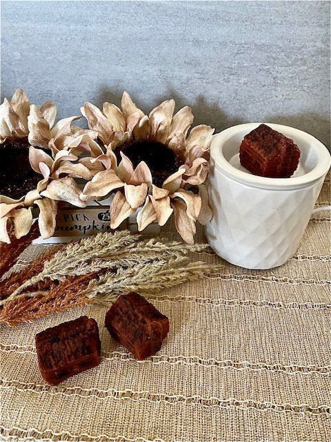 Christmas and Fall Cabin Wax Melts